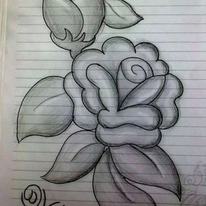 Meet your Posher, Shirley